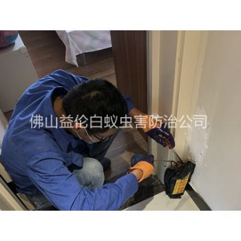 芦苞住宅白蚁防治工程