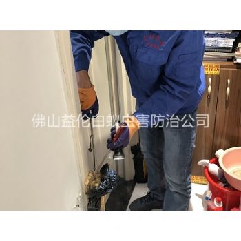 乐平上门防治白蚁工程