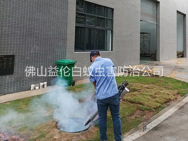 佛山厂区杀蟑螂蚊蝇工程