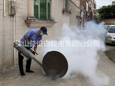 白坭村庄有害生物消杀工程